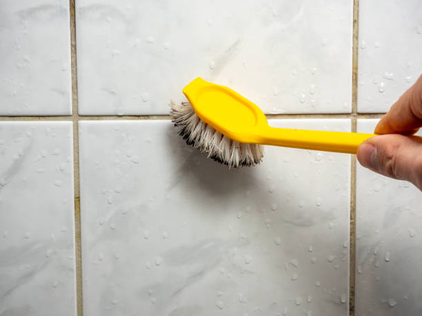Best Local Mold Removal Service  in Brookhaven, WV