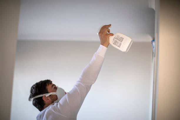 Reliable Brookhaven, WV Mold Removal Solutions