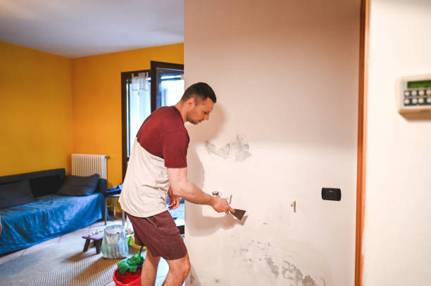 Best Mold Remediation  in Brookhaven, WV